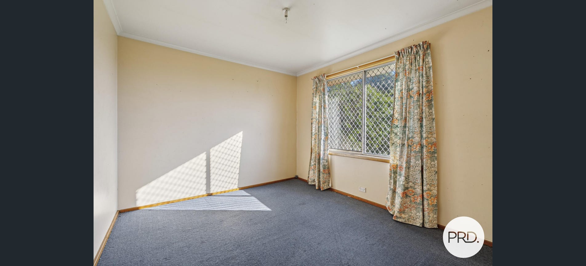 image11