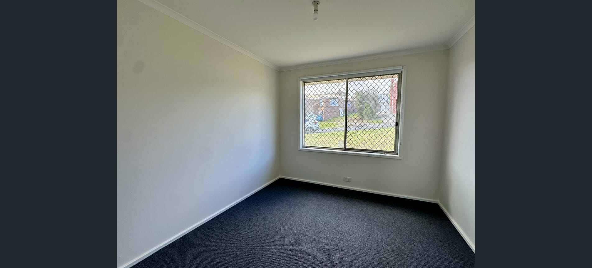 image5 (2)