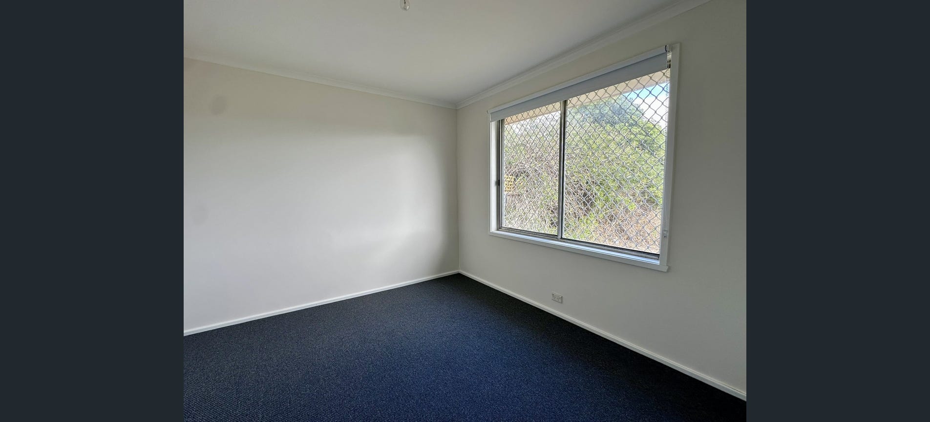 image6 (2)